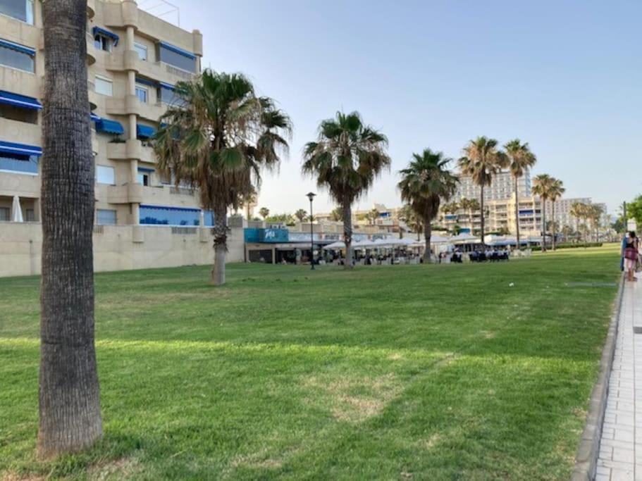 Apartamento Playamar 托雷莫利诺斯 外观 照片